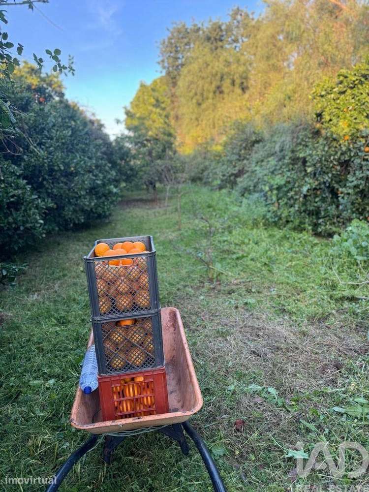 Terreno em Silves - Grande imagem: 5/6