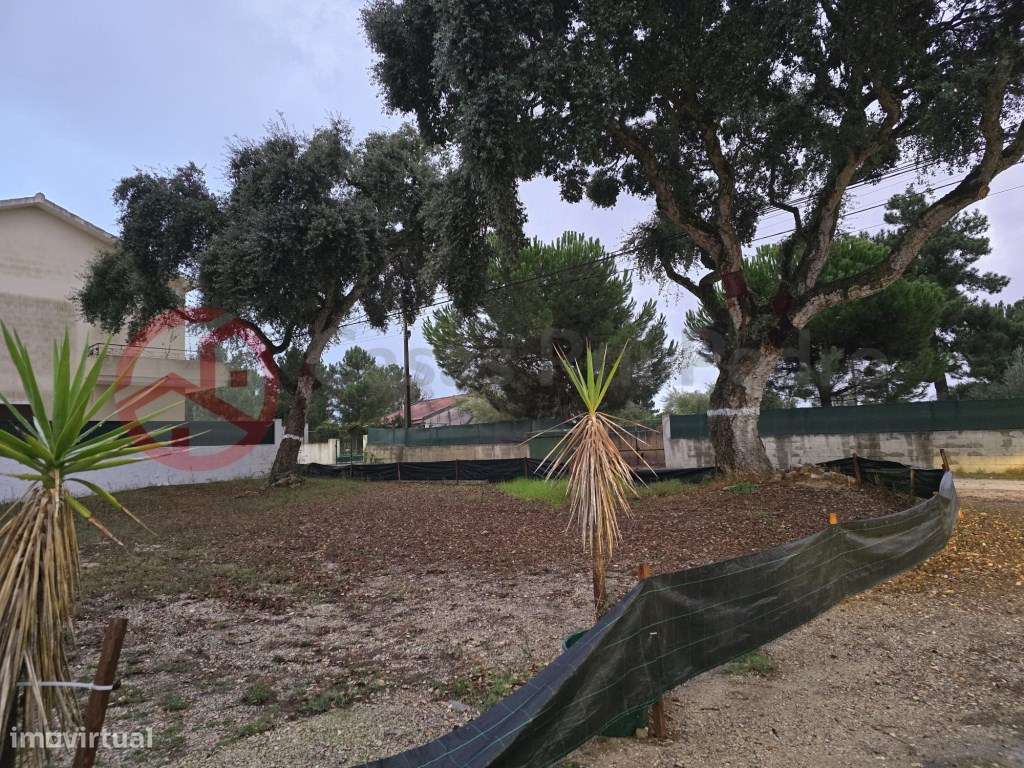 Terreno Urbano para construção, Azeitão - Grande imagem: 5/6