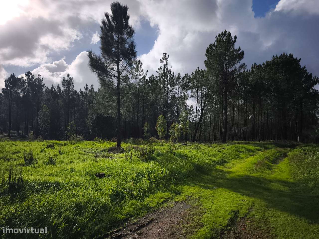 Terreno Urbanizável Telheiro, Maceira - Grande imagem: 3/9