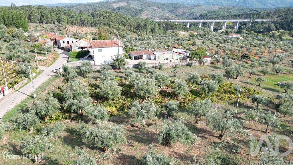 Terreno Agrícola em Podentes - Grande imagem: 4/13