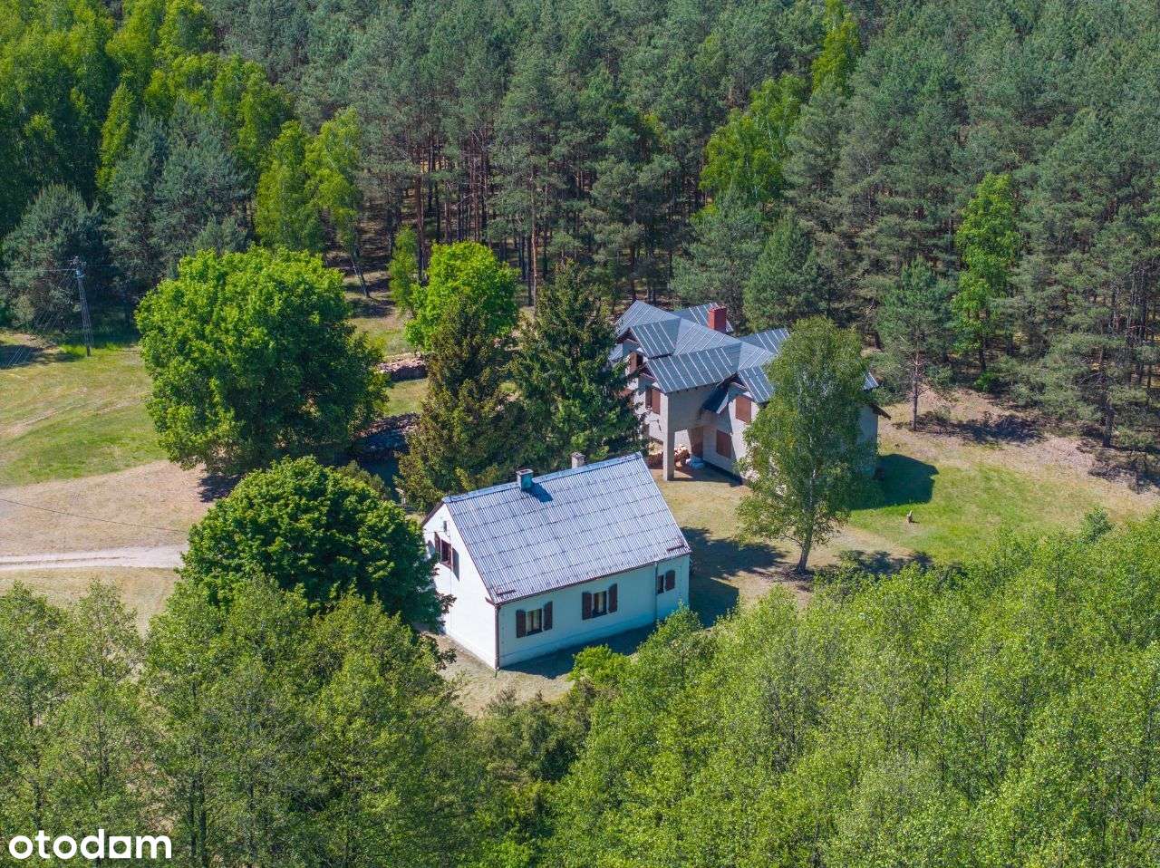 Siedlisko z lasem i stawem - Wielkopolska - Pełny obrazek: 4/8