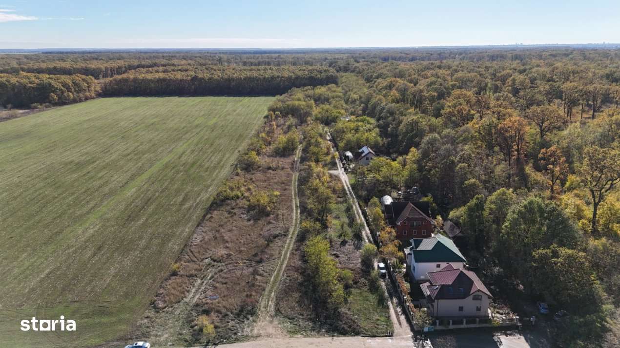 Snagov padure - Teren intravilan cu PUZ aprobat - Imagine principală: 2/9