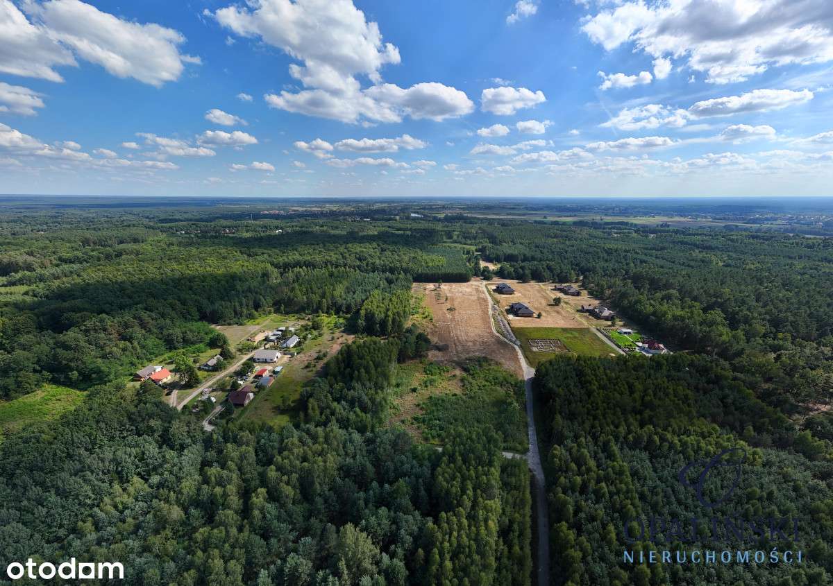 Otoczenie lasu | Cicha okolica | Mpzp | Inwestycja-13
