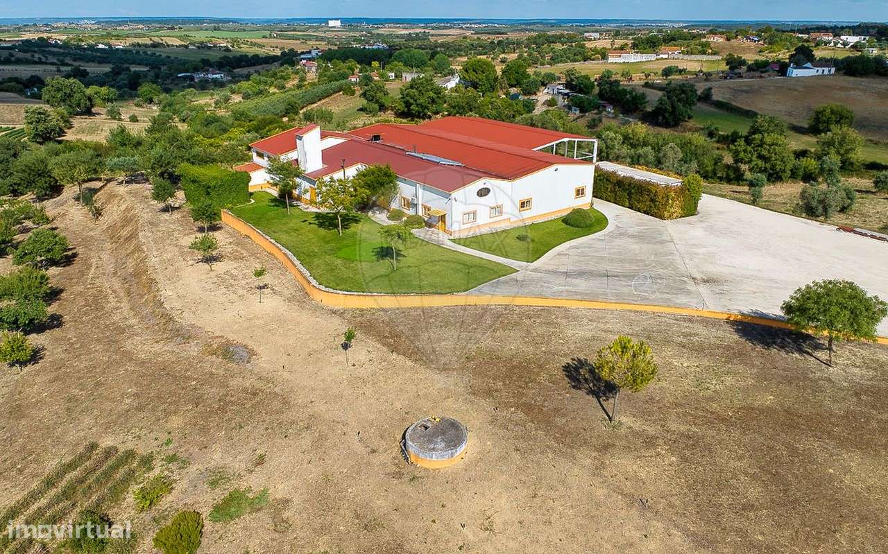 Industrial T0 para venda - Grande imagem: 2/45