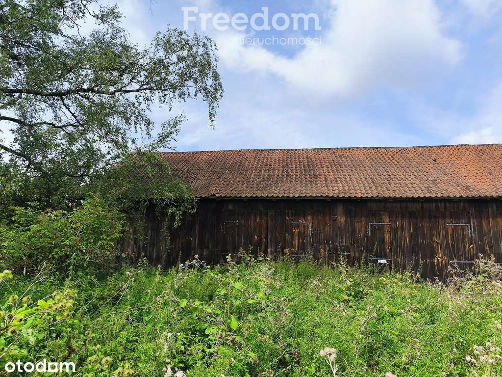 Duże malownicze siedlisko - Pełny obrazek: 3/12