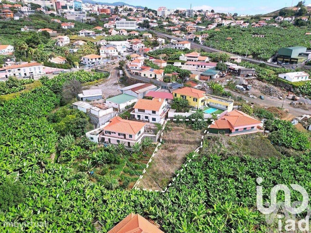 Terreno Agrícola em São Martinho - Grande imagem: 4/10