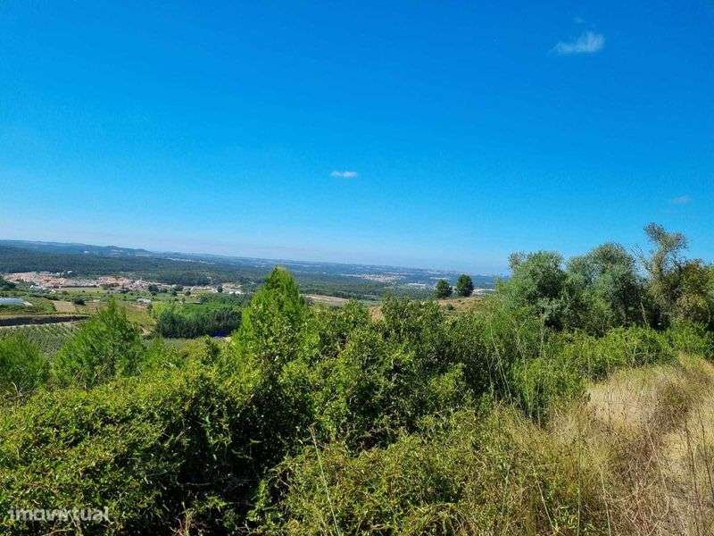 Terreno agricola e florestal - 3€/m2 - Grande imagem: 5/8