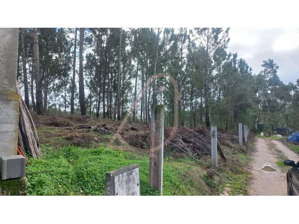 Terreno , terreno para construção-7