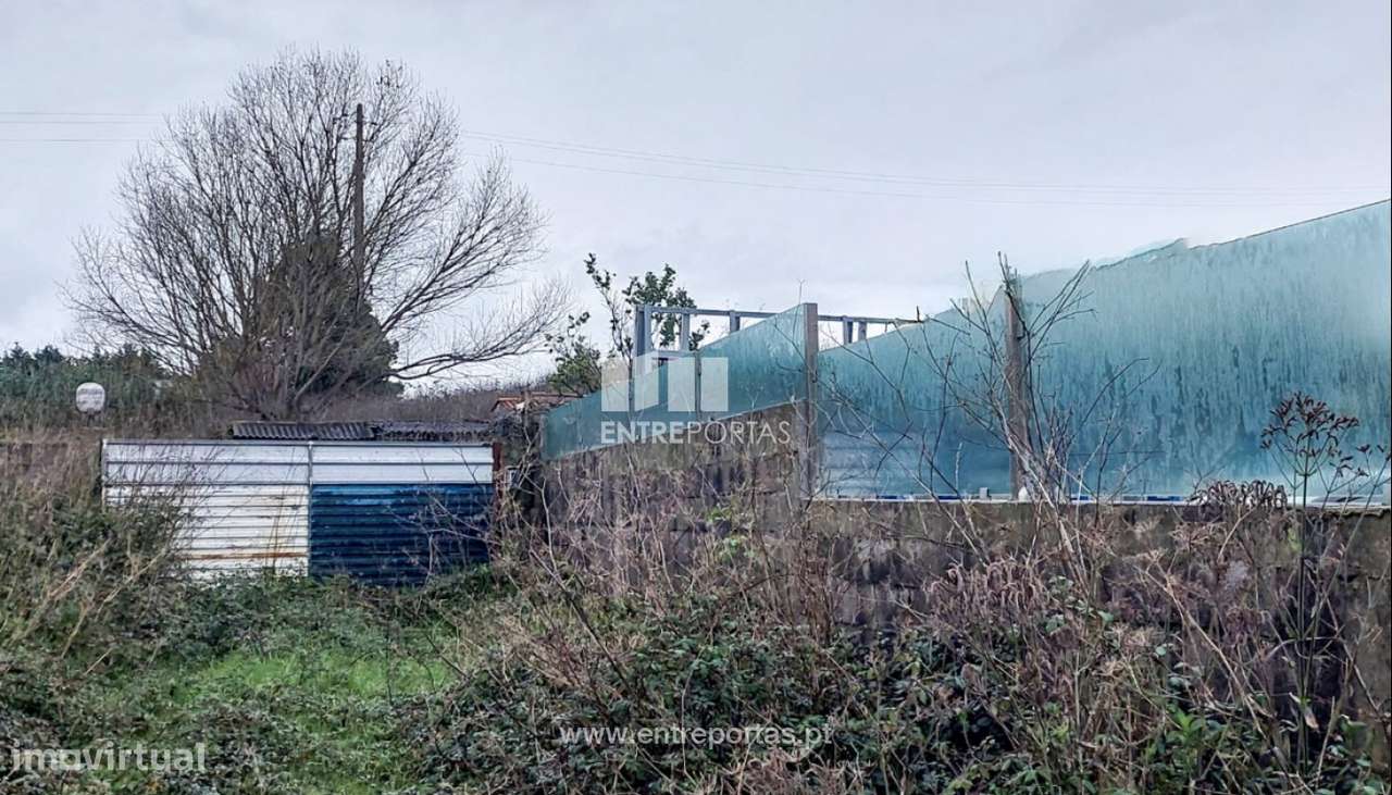 Venda de Terreno Agrícola (30.000 m²) com Armazém, Árvore, Vila do - Grande imagem: 2/12