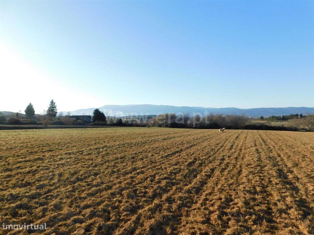 Terreno / Belmonte, Monte do Bispo - Grande imagem: 4/15