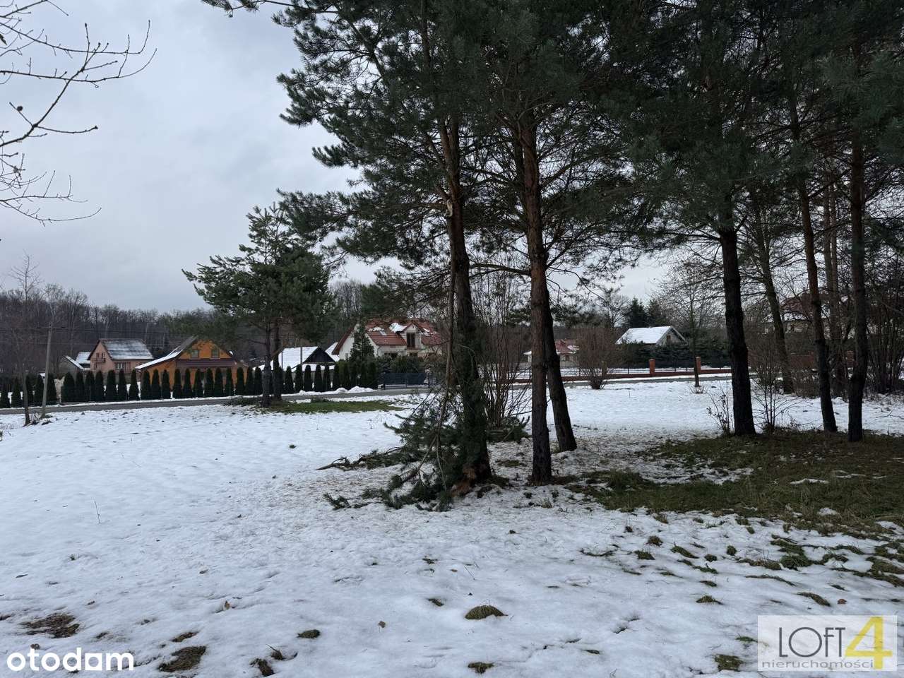 Duża działka z WZ -  otulona lasem-5