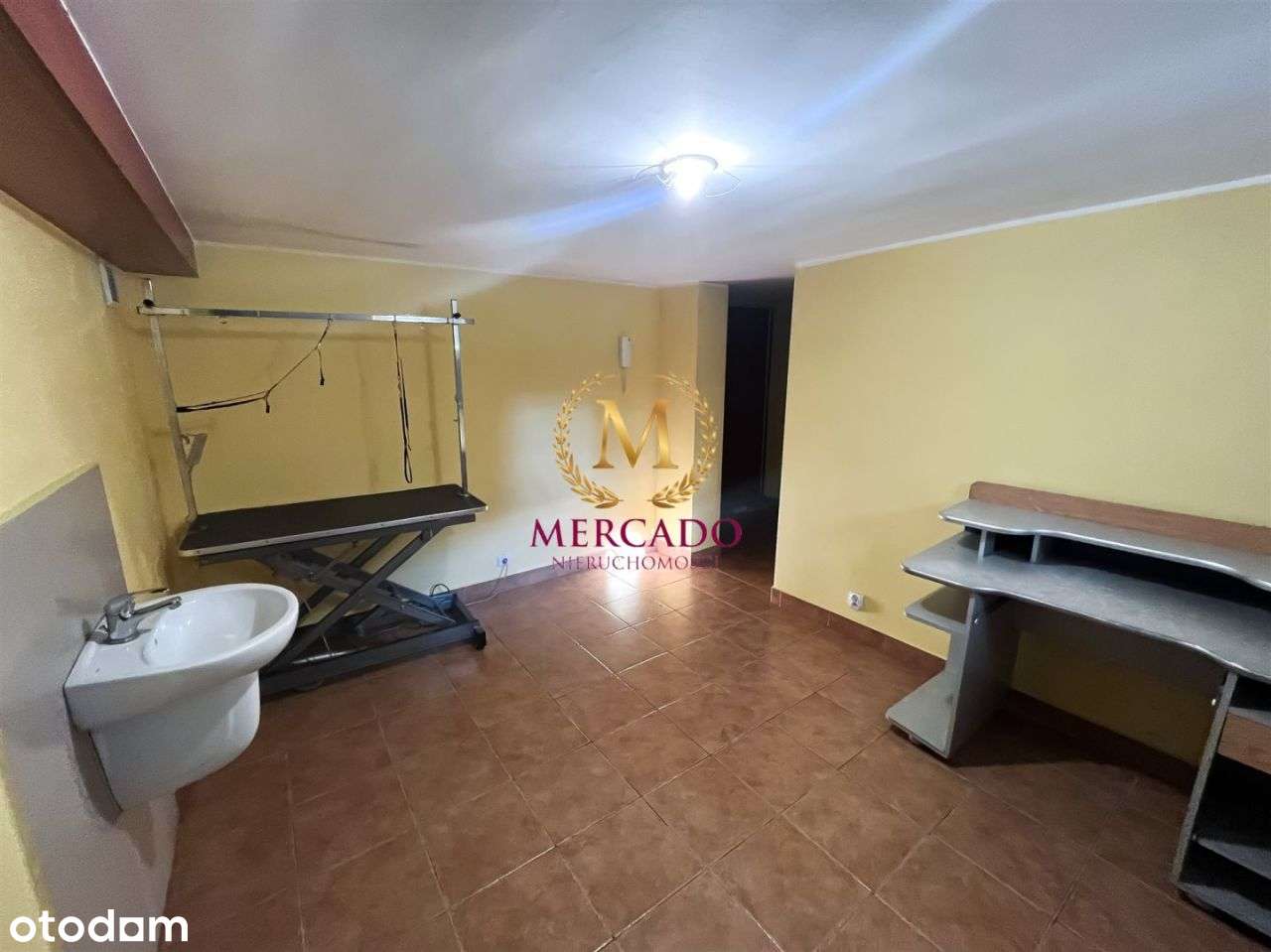 Lokal z wyjściem na ogród w Centrum ! - Pełny obrazek: 4/7