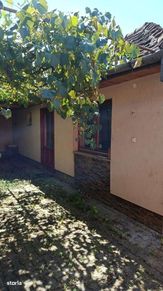 BEIUS, AUREL VLAICU CASA P+M, 200 MP SI TEREN 250 MP.-5