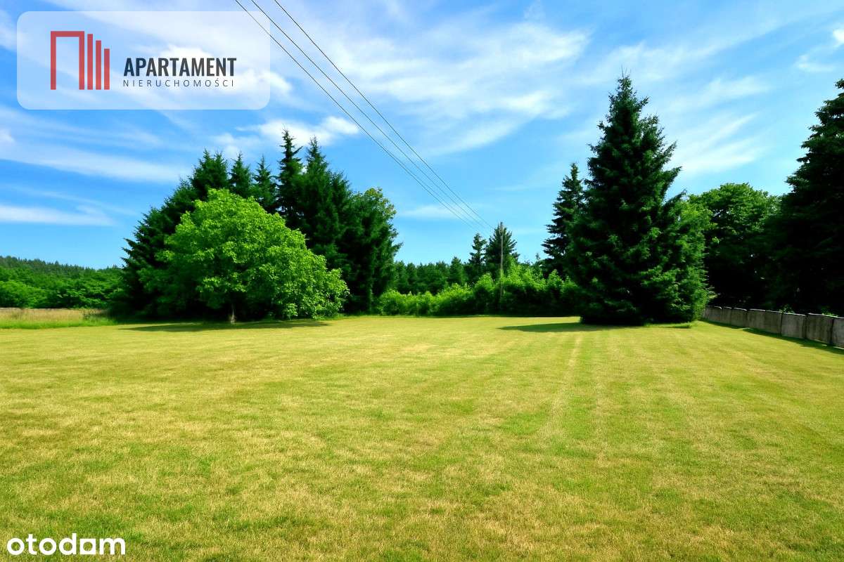 Dom do remontu w spokojnej okolicy. - Pełny obrazek: 3/14