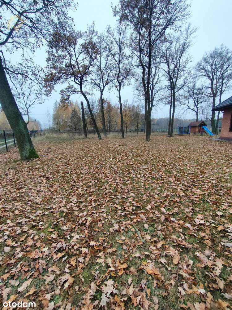 Piękny dom w zielonej okolicy, Janów Ruszki-17