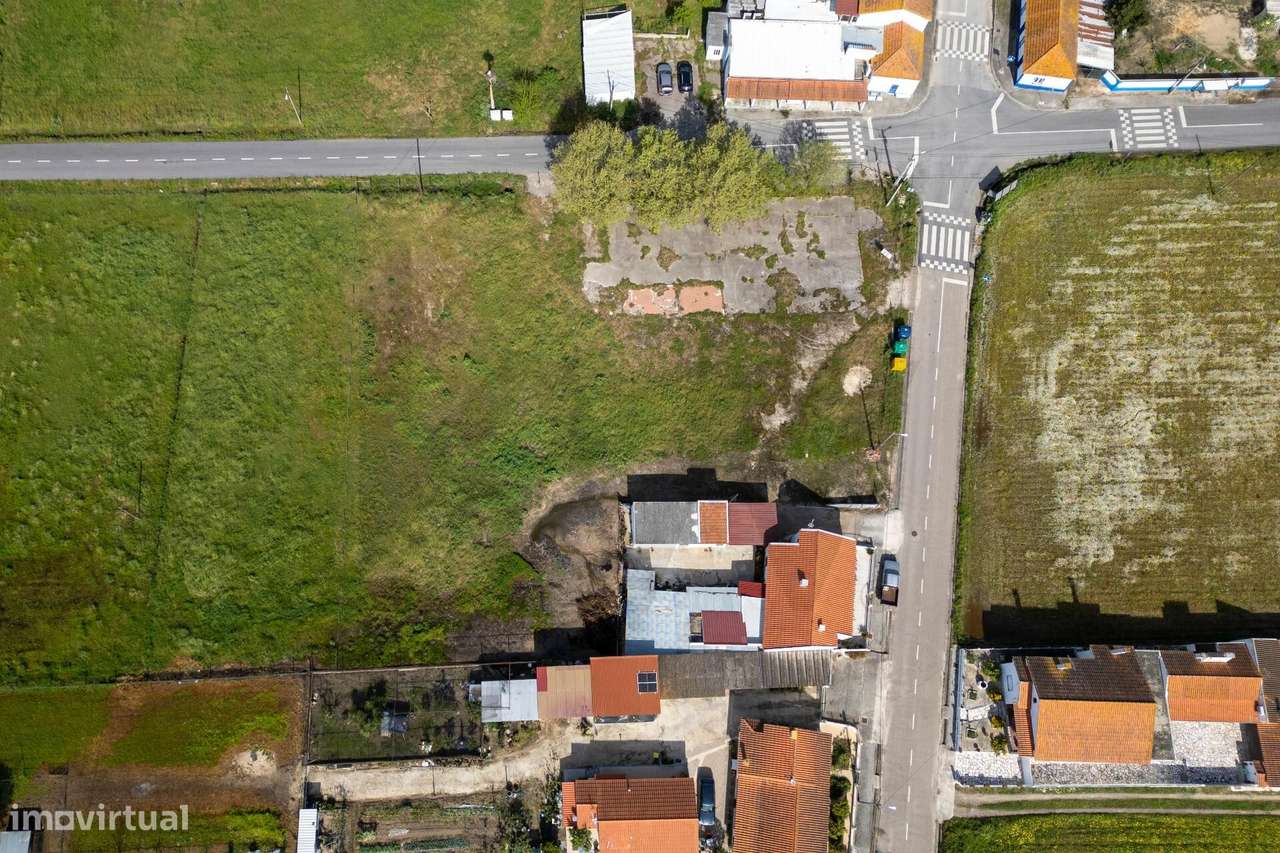 Terreno - Foros de Benfica - Grande imagem: 3/17