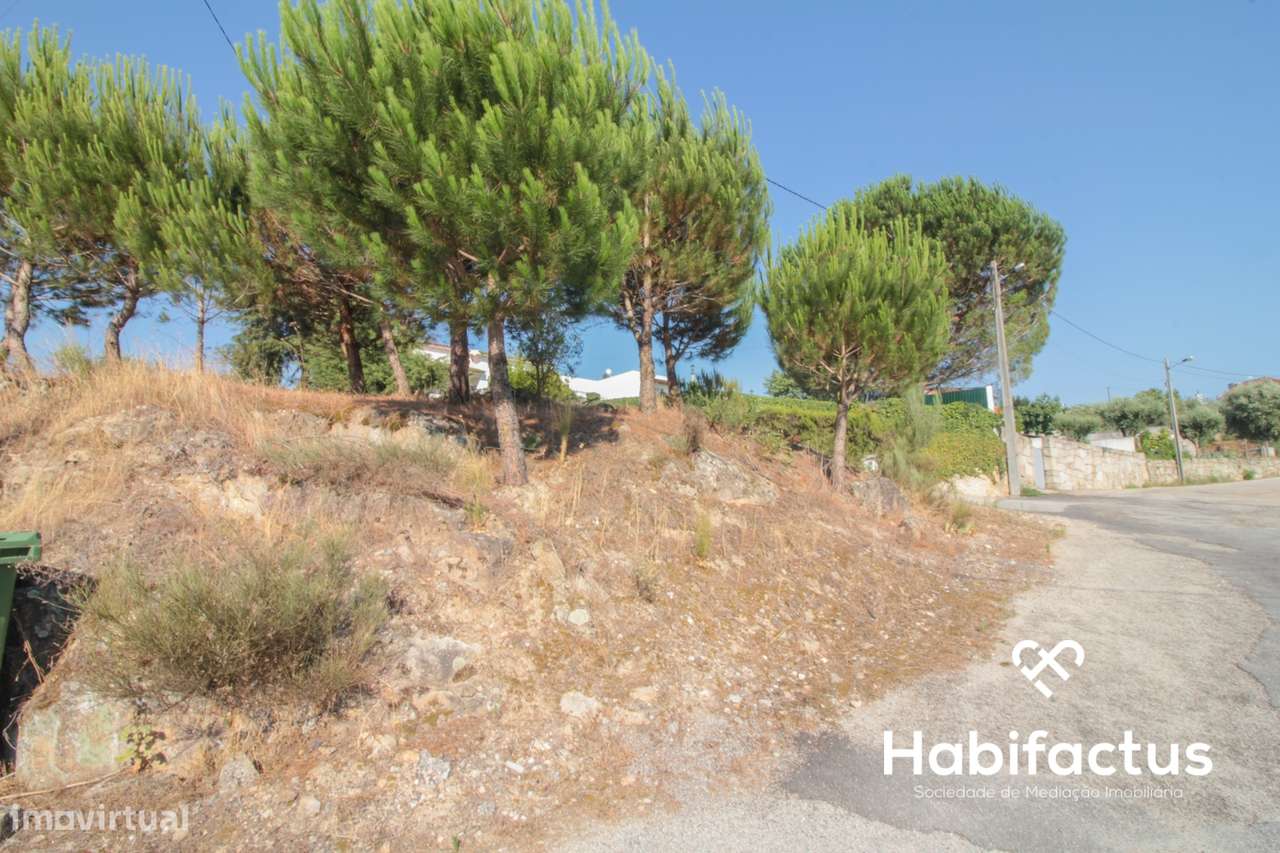 Terreno para construção - Nelas - Grande imagem: 4/9