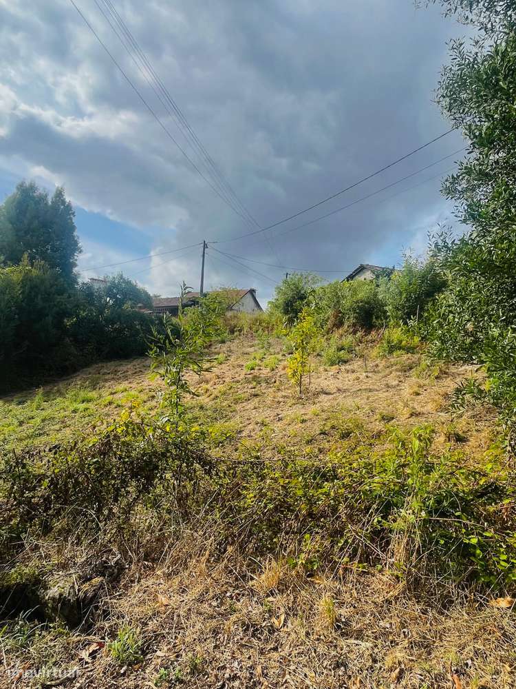 Terreno de Construção em Vitorino de Piães-7