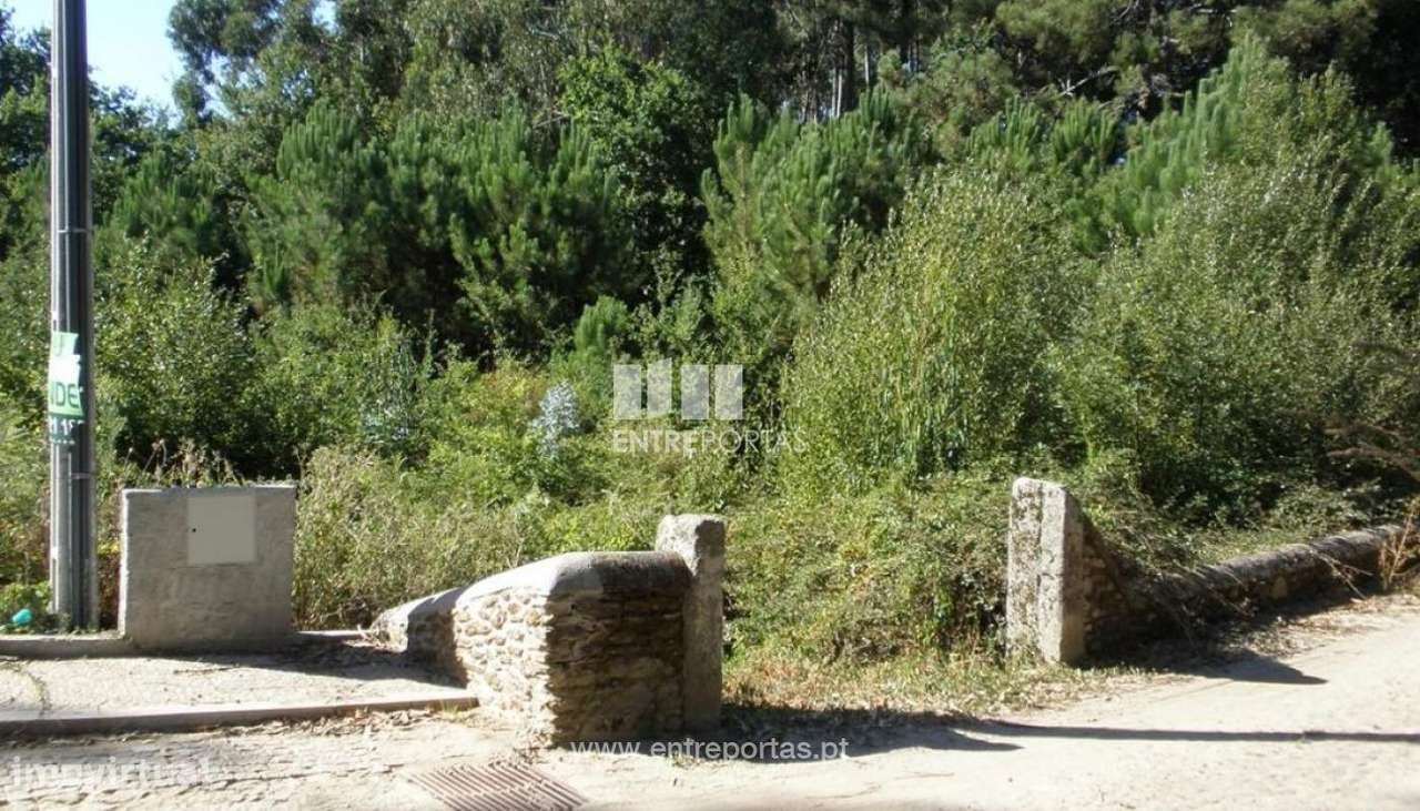 Terreno para construção, Seixas, Caminha - Grande imagem: 5/6