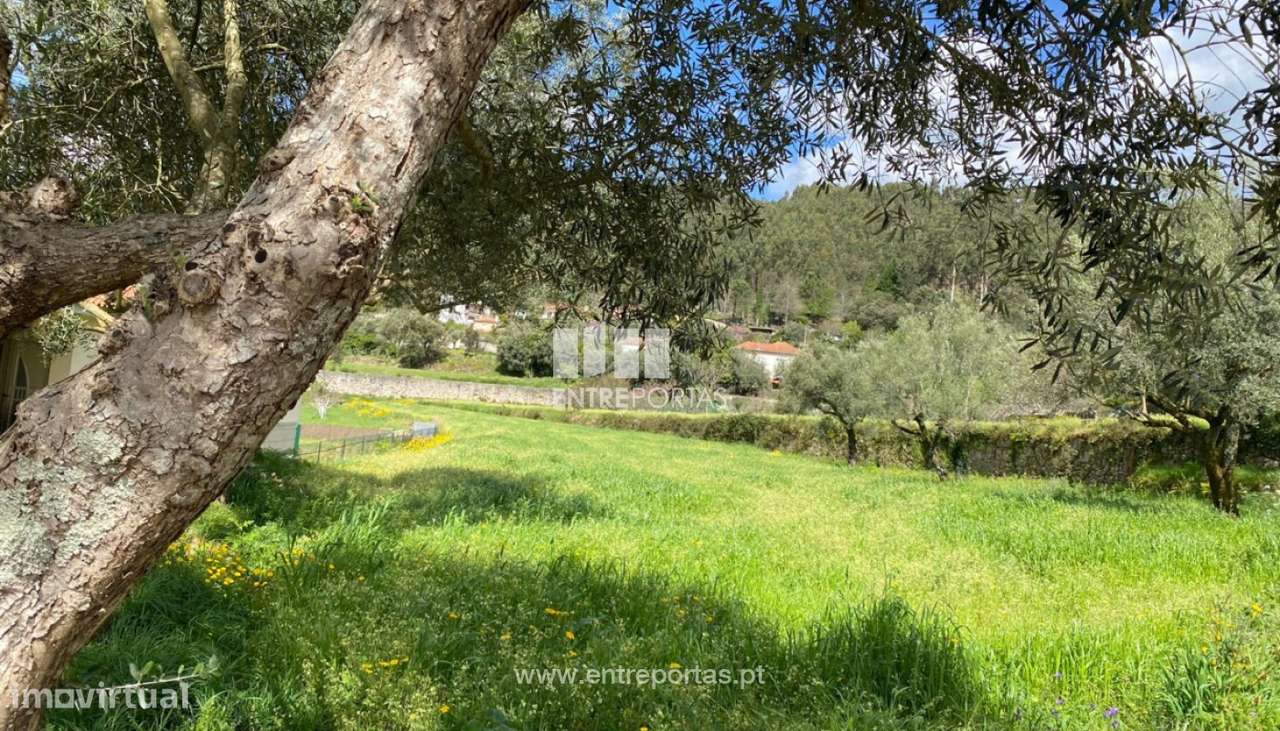 Venda de Terreno com 2.305 m², Carvoeiro, Viana do Castelo - Grande imagem: 4/27