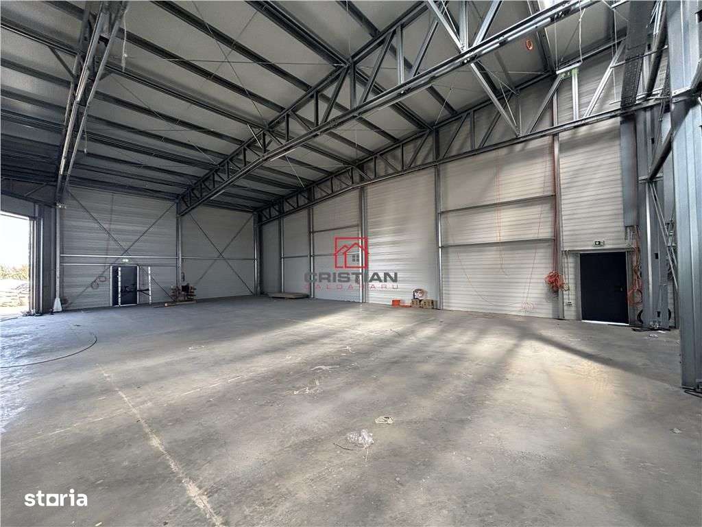 Inchiriere depozithalaspatiu industrial Mogosoaia - Buftea - Imagine principală: 5/13