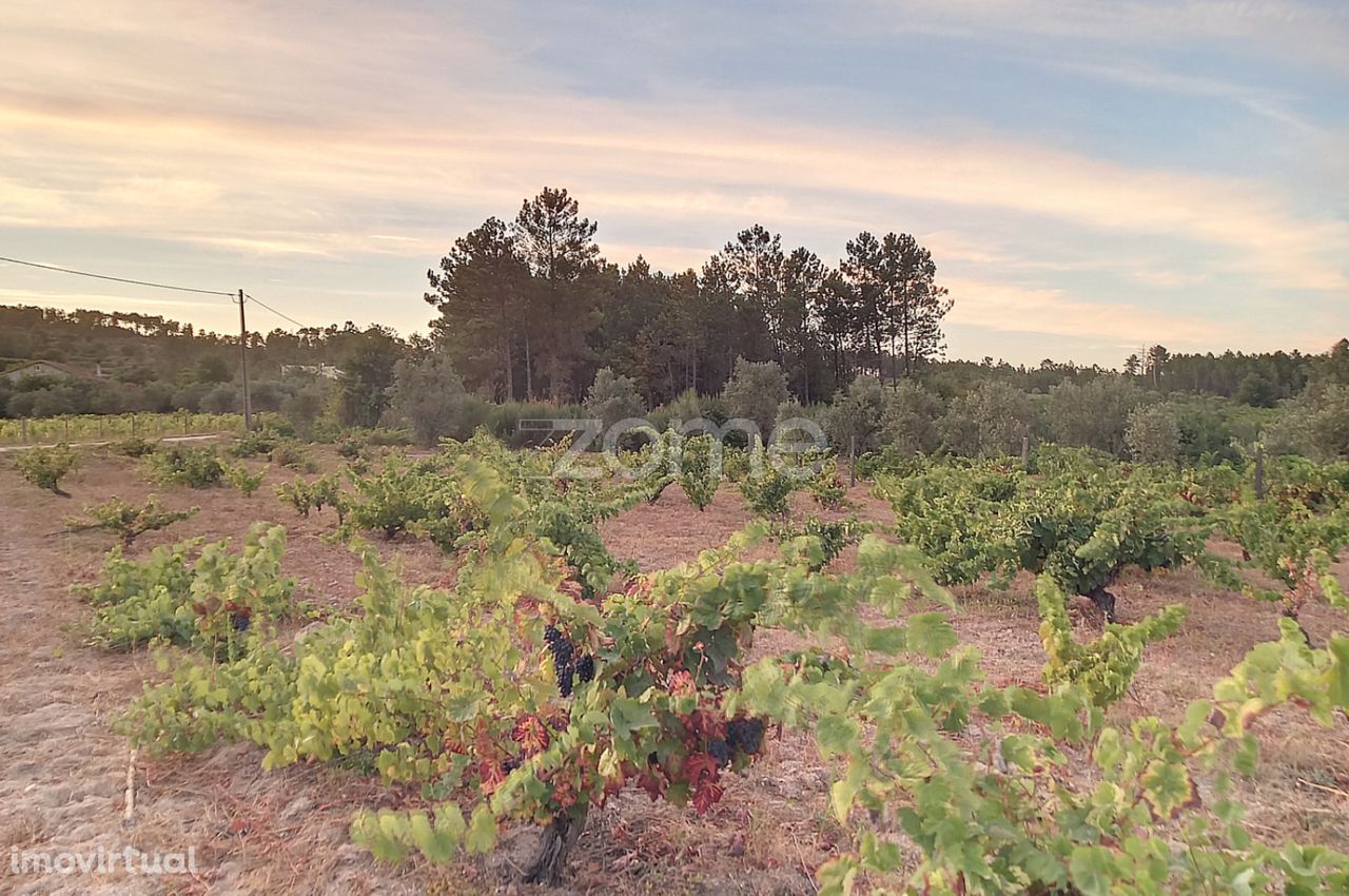 Herdade fabulosa - Vistas fora de Série