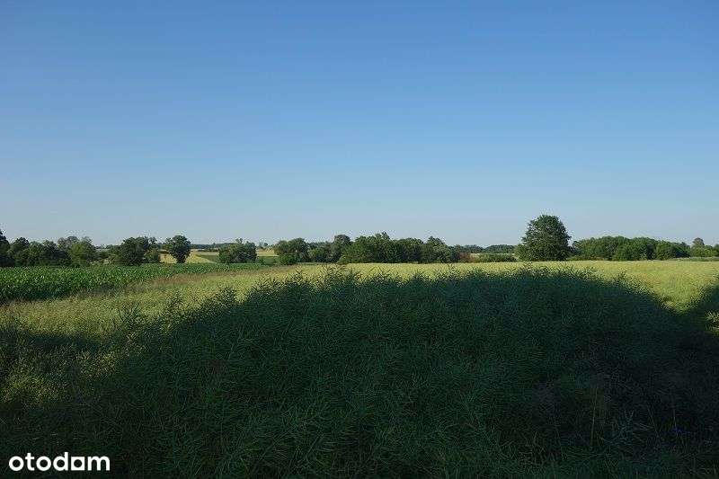 Oleśnica / Okolice / Budowlana - Pełny obrazek: 4/5