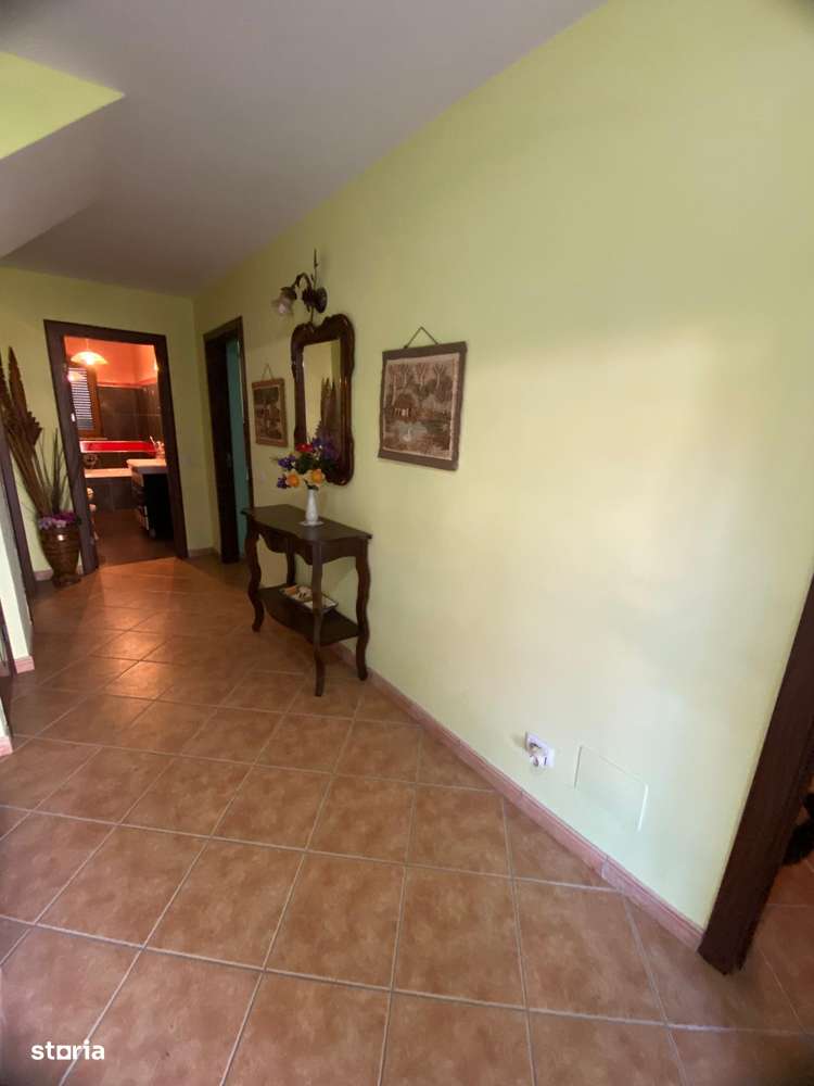 De vanzare casa mobilata si utilata cu 1500 mp teren,Magura Farbe-11