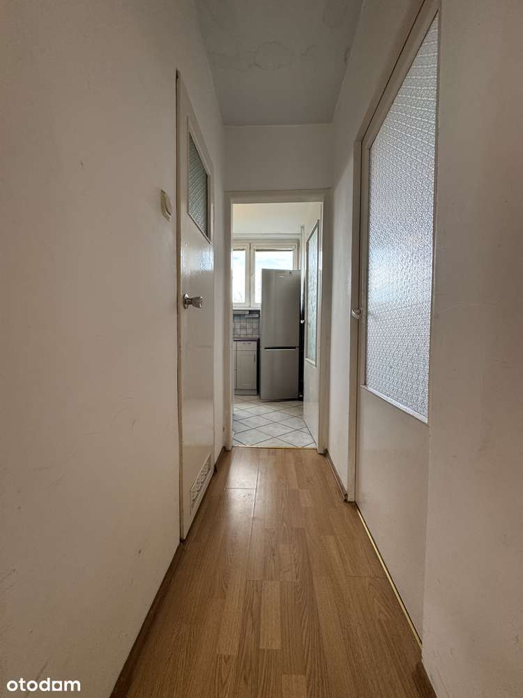 GRABISZYN  /BOREK - 3 POKOJE - ROZKŁAD - PIWNICA-5