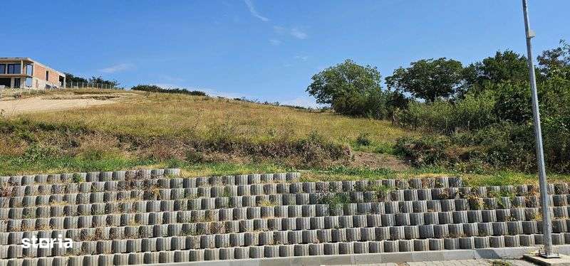 Teren Intravilan Sandulesti - Imagine principală: 2/4