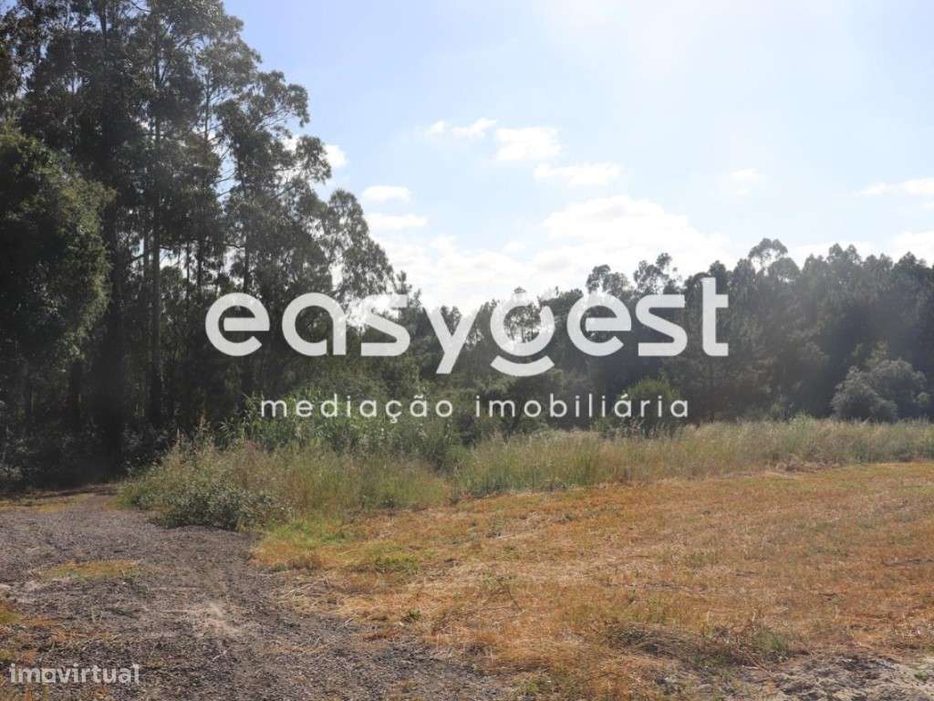 Terreno para Construção com 4 000 m2/ Leiria - Grande imagem: 2/6