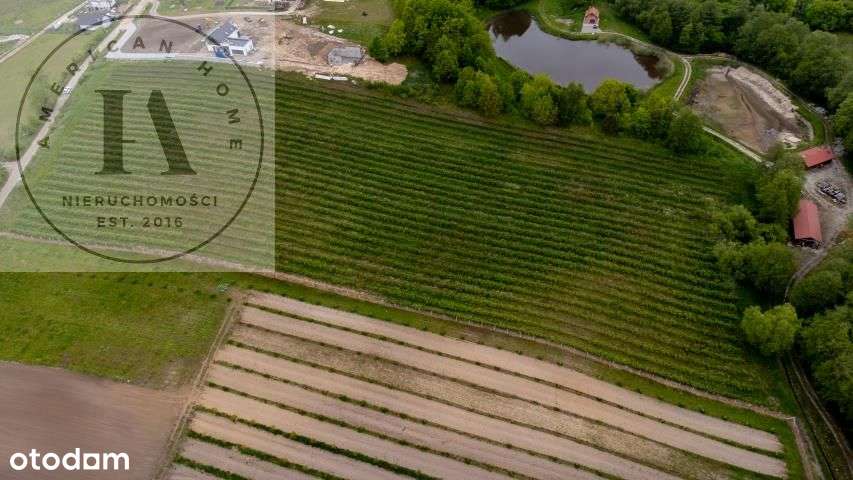 każda historia ma swój początek-8