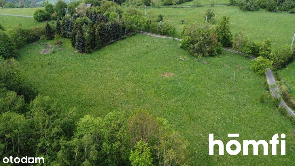 Teren budowlany + koncepcja podziałowa - Pełny obrazek: 4/11