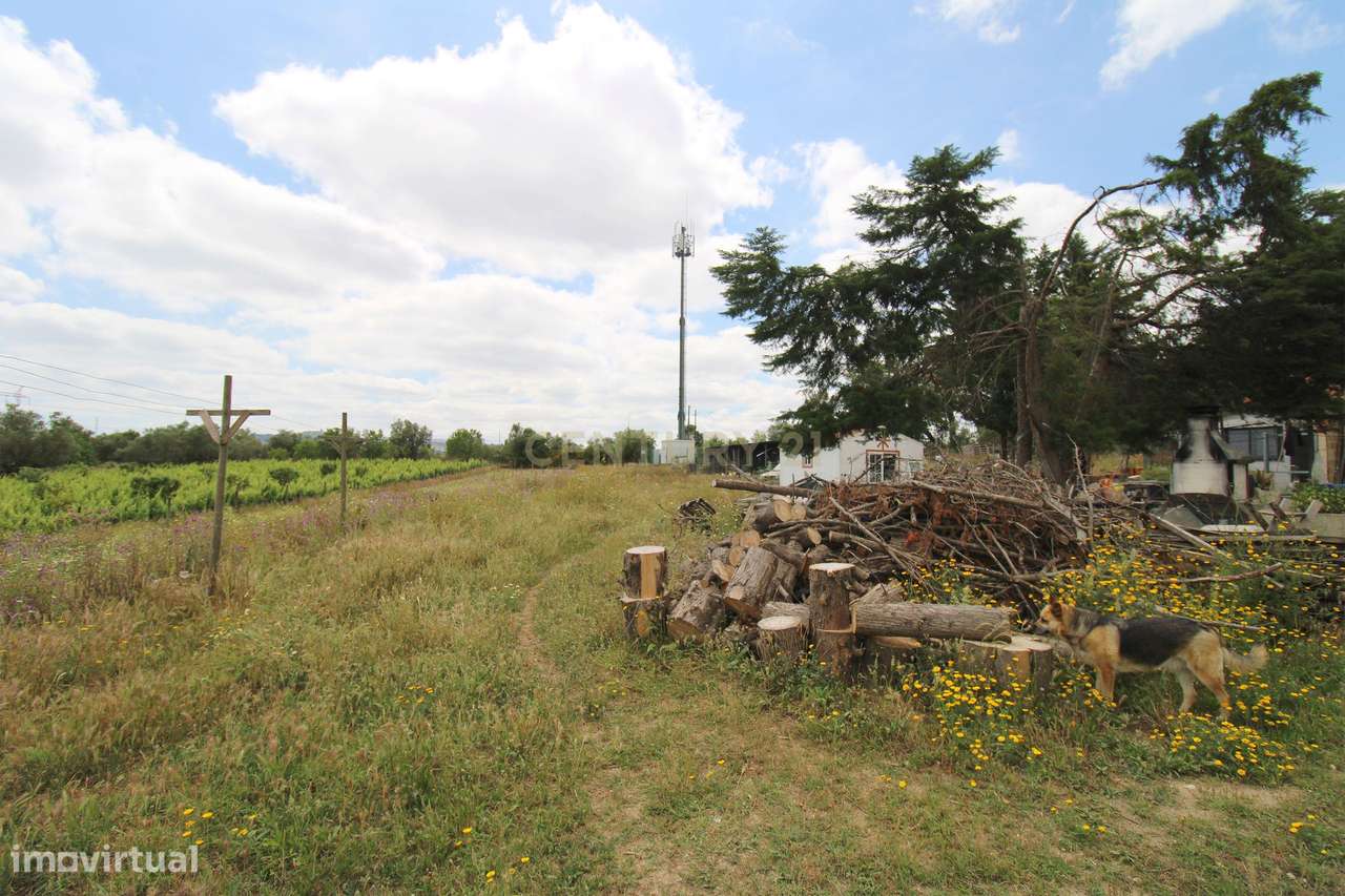 Quinta com Moradia Bi-familiar, construída num lote de 7.500 m2, em Pa-31