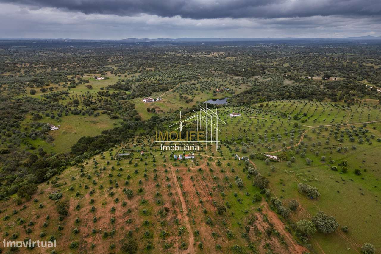 MONTINHO DO CHIADO - MALARRANHA - PAVIA-44