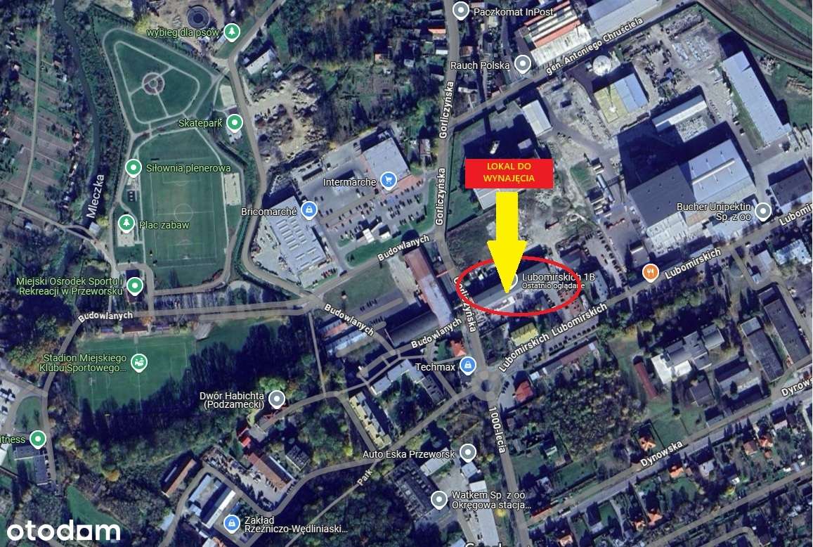 Przeworsk - lokale do wynajęcia od 250 do 800 m2 - Pełny obrazek: 3/5