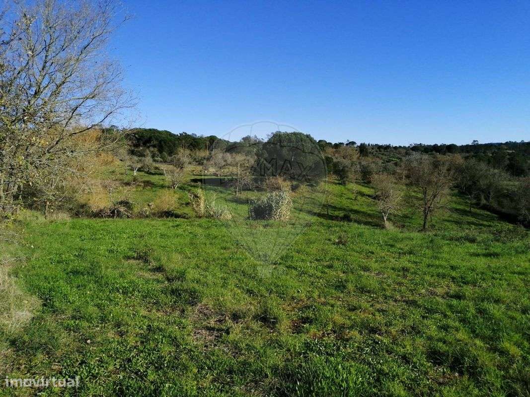 Terreno  para venda - Grande imagem: 3/6