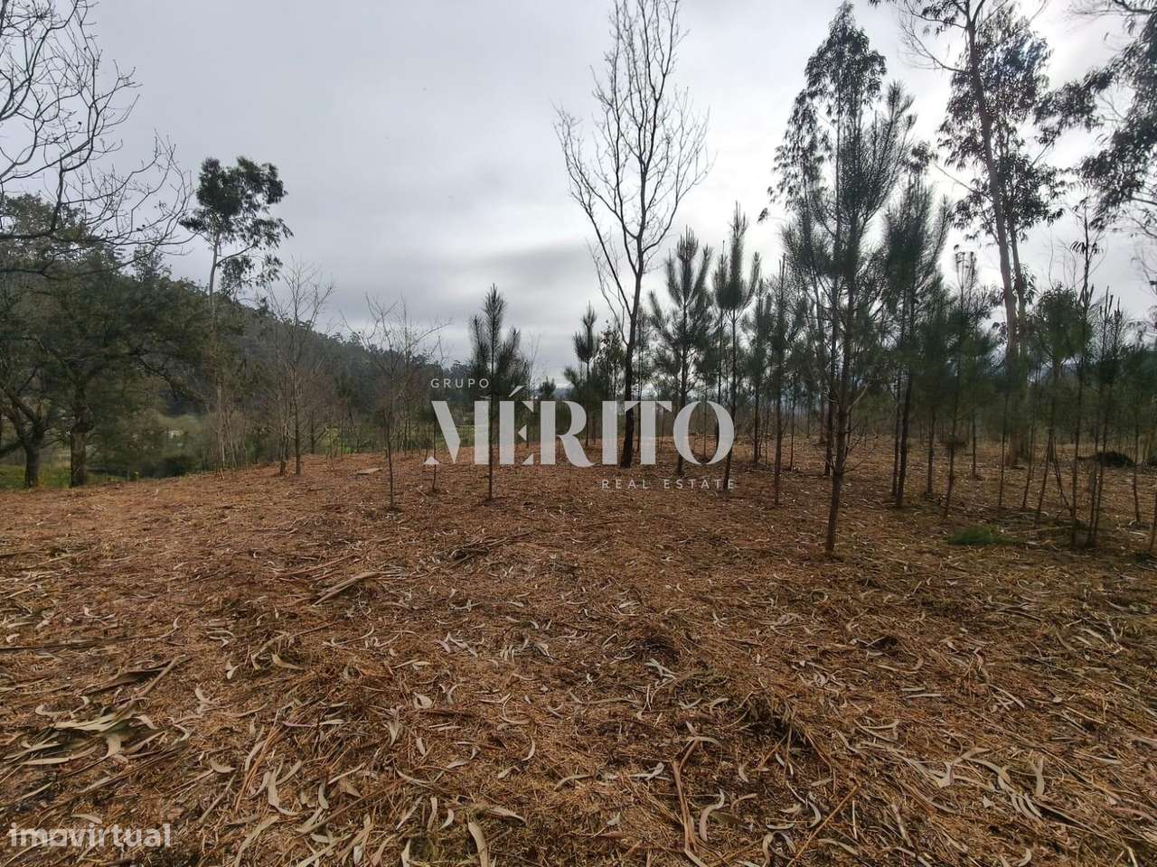 Terreno Agrícola com 10.760m2 em Cossourado frente ao Rio Neiva-14