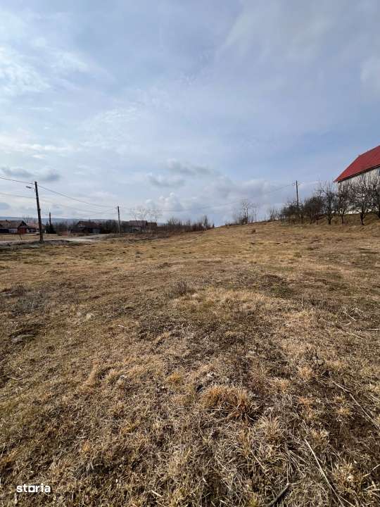 Teren Rascruci, 1250mp, front la 2 strazi 50m si 30m - Imagine principală: 2/6