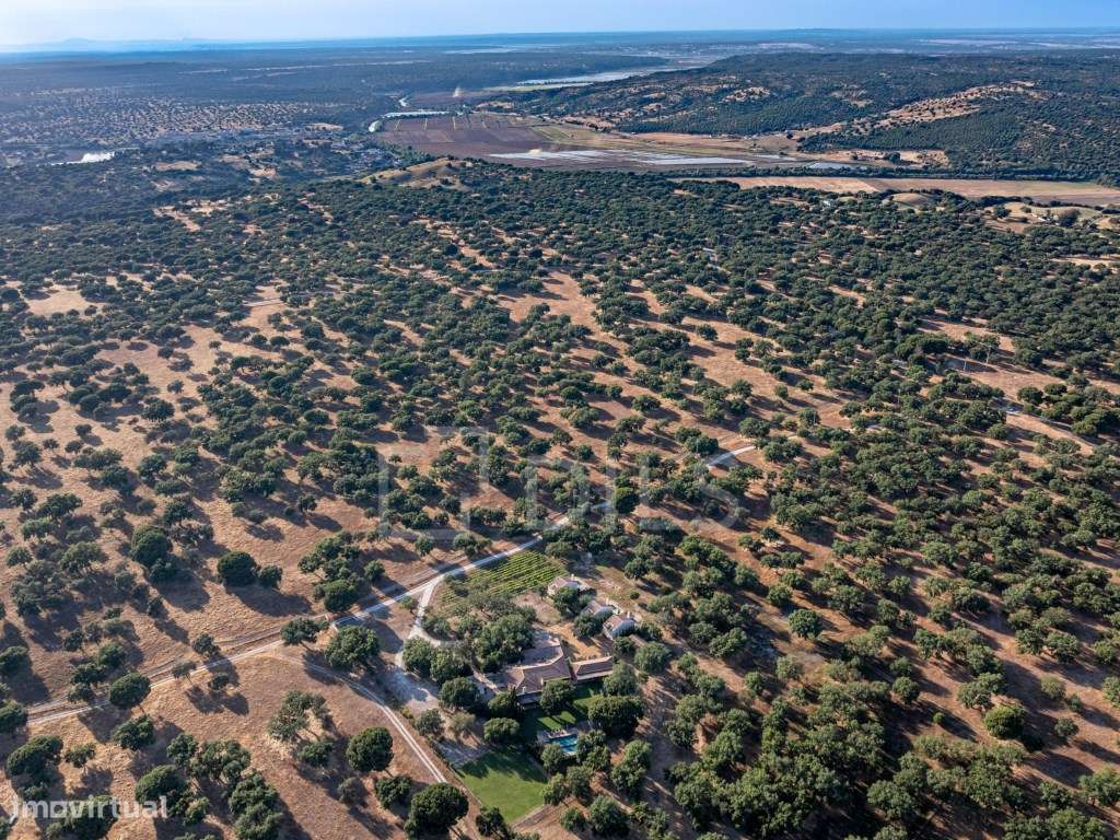 Moradia T2, Casas da Cegonha, Alcácer do Sal-34