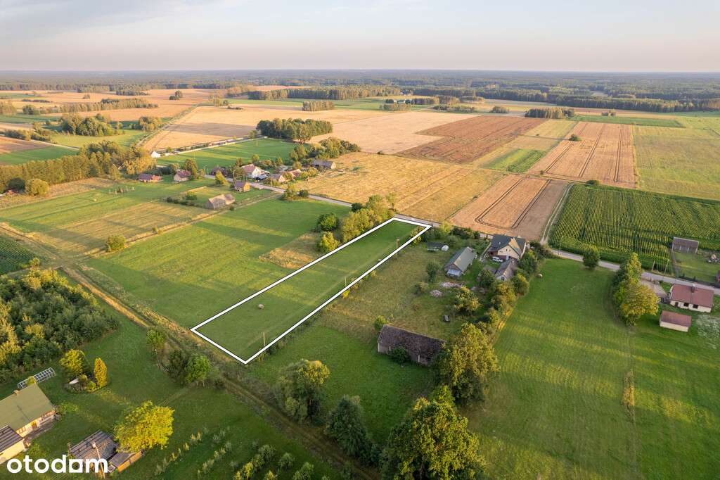 Urokliwa działka z WZ Folwarki Tylwickie 4006m2! - Pełny obrazek: 4/9