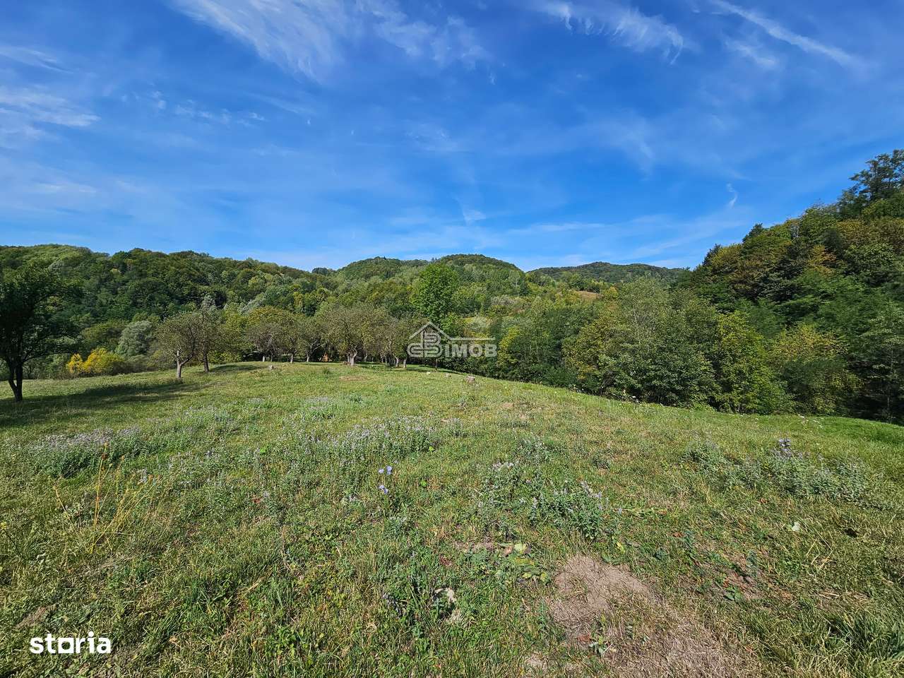 Ideal pentru investitie – Vulcana de Sus-2