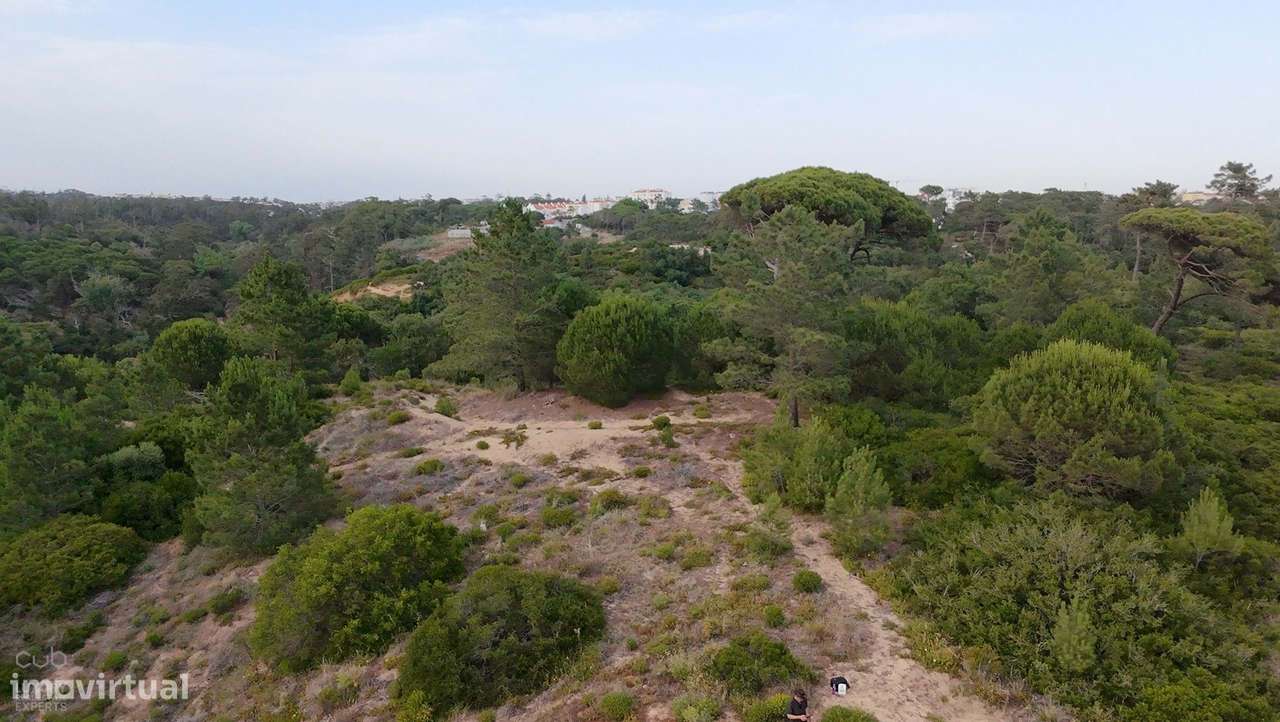 Terreno Rústico com Vista Mar e Potencial Ecológico-26
