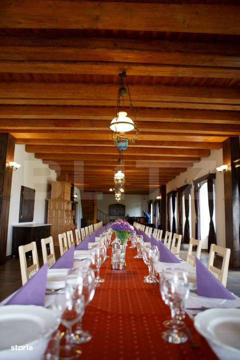 Conac de vanzare 7 camere cu bai proprii, crama, ciubar si potential - Imagine principală: 5/19