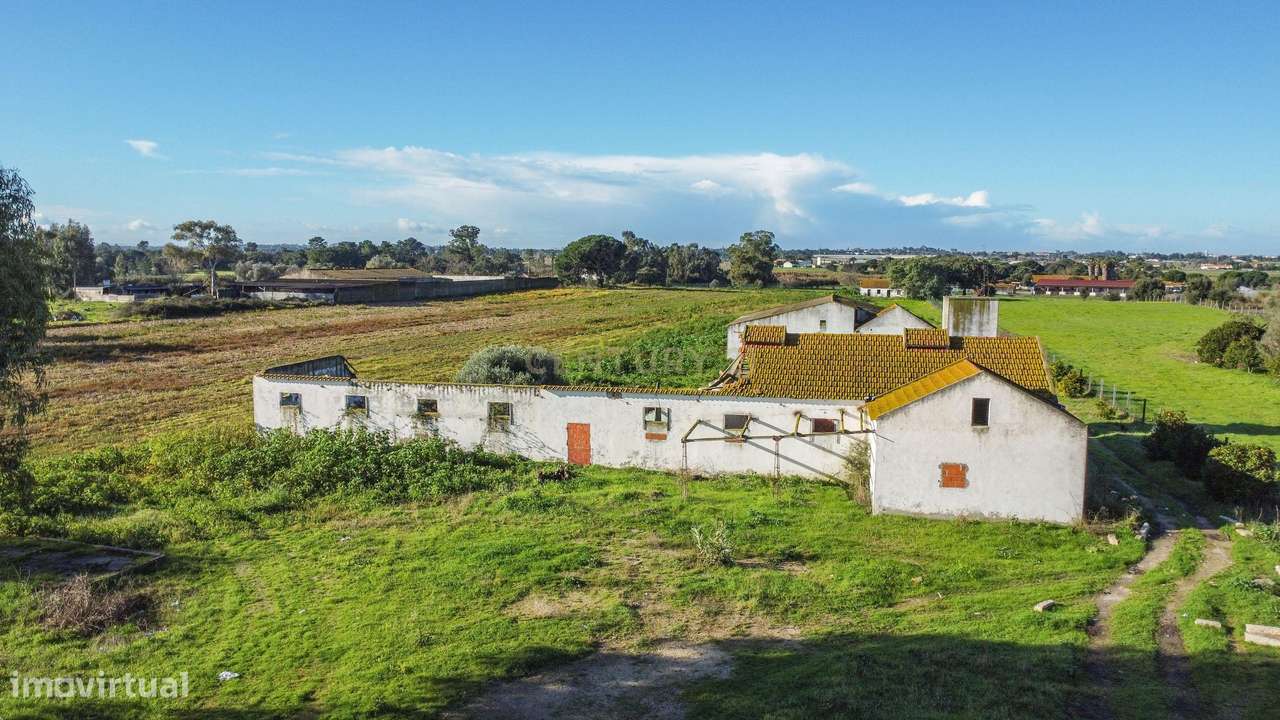 Quinta  Montijo - Jardia p/ Reabilitação c/ 14.000m2  - 3 licenças urb-12