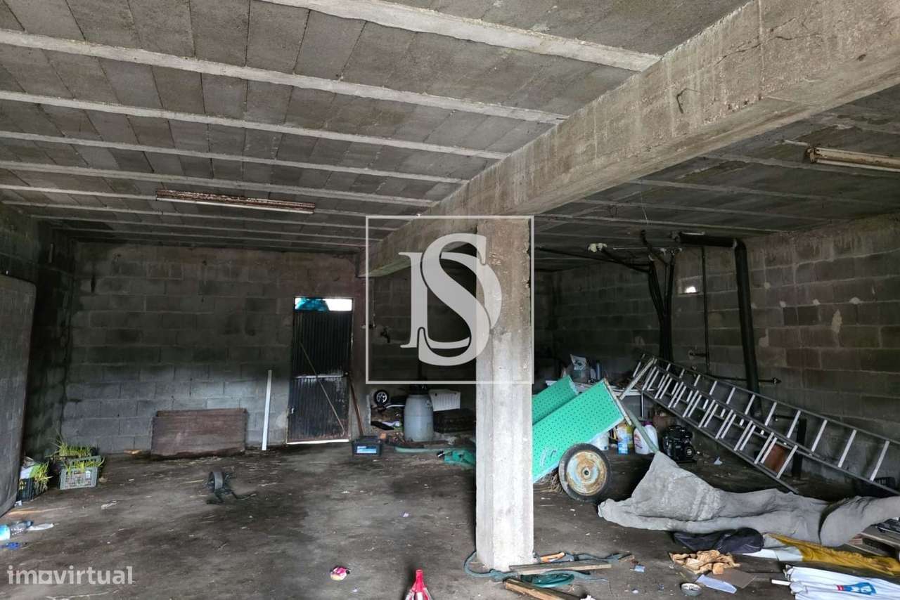 Moradia T3 em Nagosela, Santa Comba Dão-8