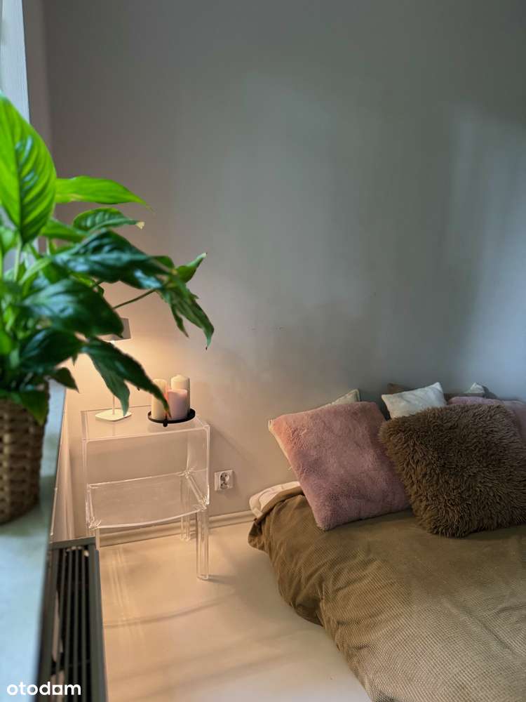 Nowość, Szamarzewskiego 2 pokoje-1