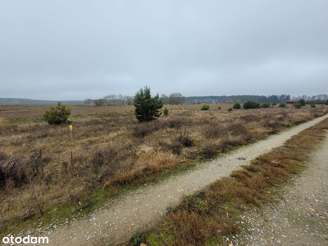 GOŁĄBKI na sprzeedaż działka budowlana 950m2-10