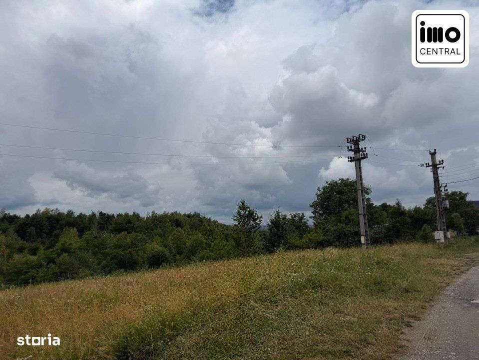 Teren de vanzare Balcesti, ideal pentru investitie si constructie caba - Imagine principală: 3/5