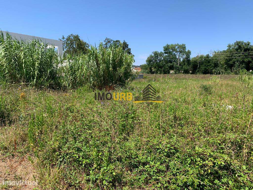 Lote Terreno com Furo Artesiano !! - Grande imagem: 3/9